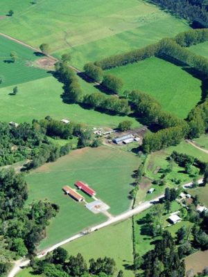 campo-experimental-maquehue-768x512