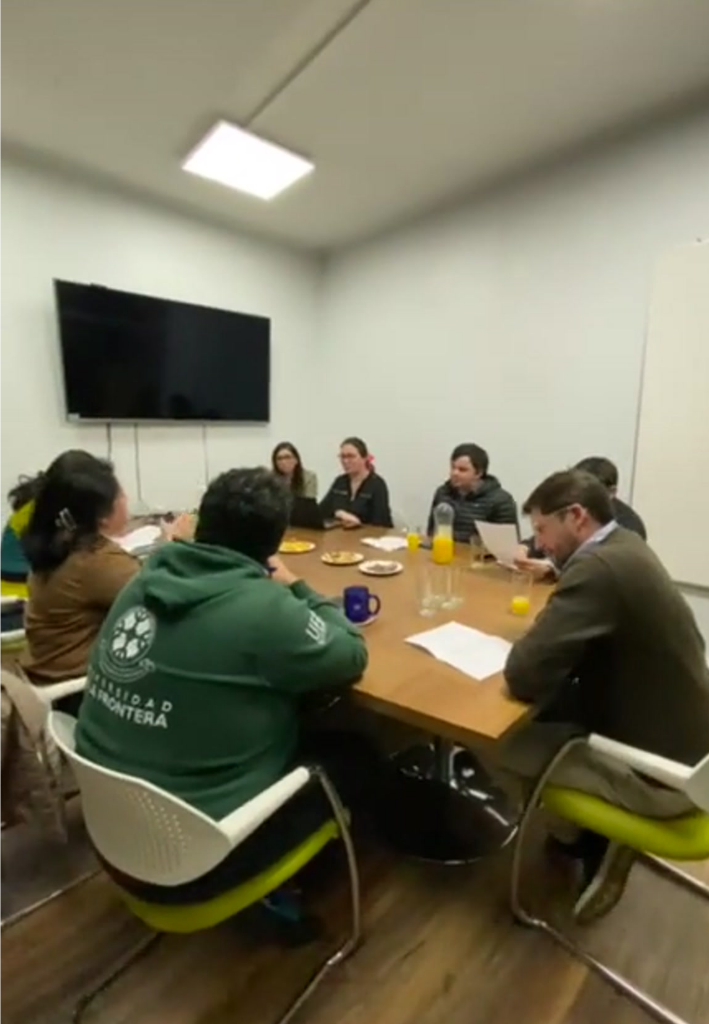 Reuniones Comisión No+Colillas UFRO y SEREMI de Salud Araucanía